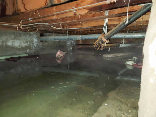 Water damage restoration insurance claims in West Dennis, MA