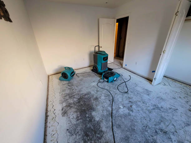 Best Water damage restoration near me  in West Dennis, MA