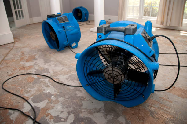 Best Flood restoration services  in West Dennis, MA