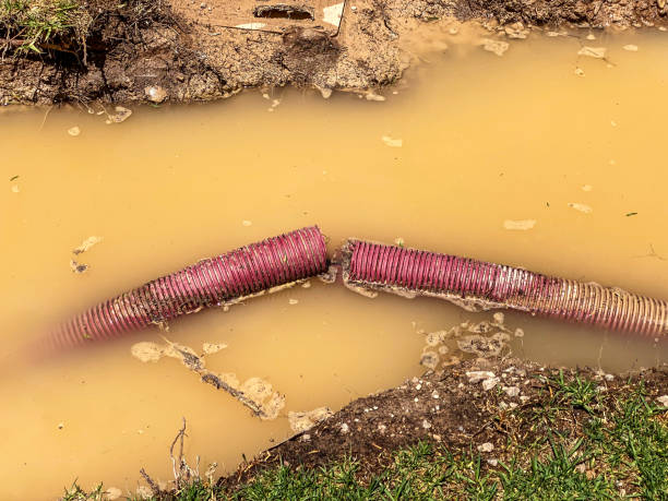  West Dennis, MA Water damage restoration Pros