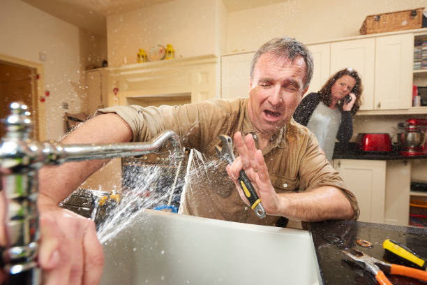 Best Mold removal after water damage  in West Dennis, MA